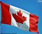 Флаг Канады, красный флаг с белым квадратом в центре, в котором есть 11-остроконечные красный кленовый лист